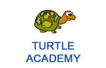 Turtle Academy